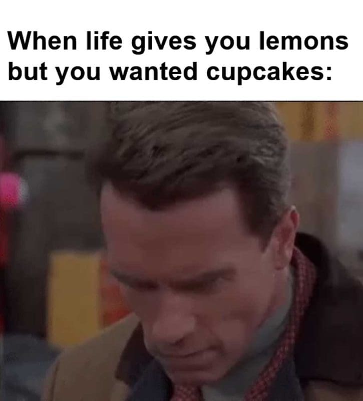 When Life Gives You Lemons But You Wanted Cupcakes