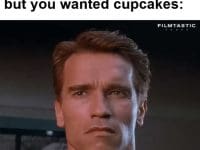 When Life Gives You Lemons But You Wanted Cupcakes