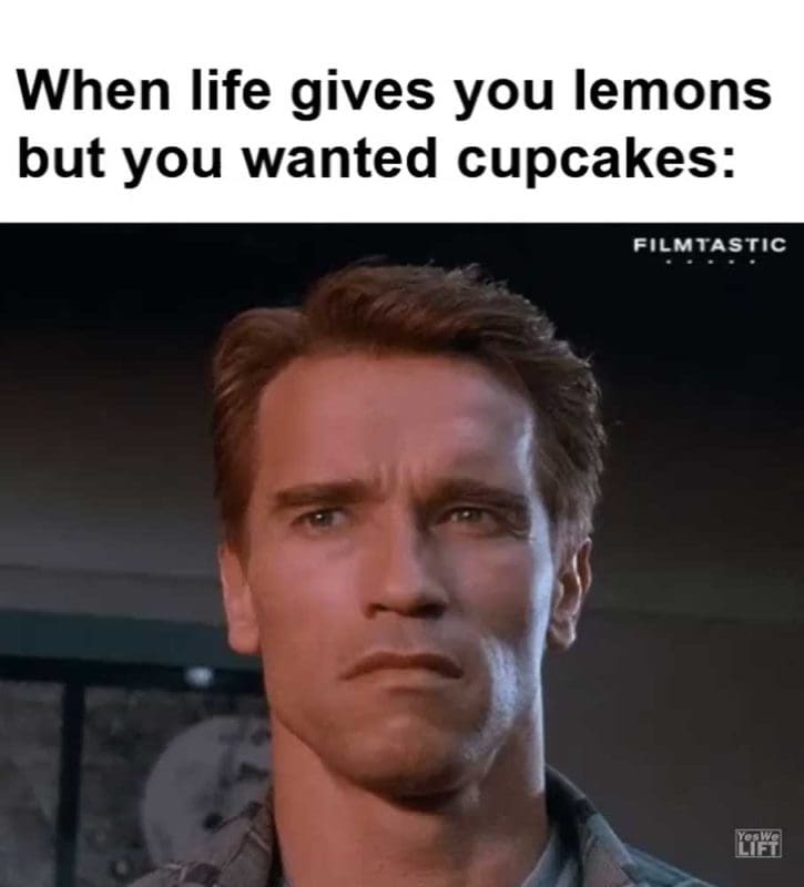 When Life Gives You Lemons But You Wanted Cupcakes