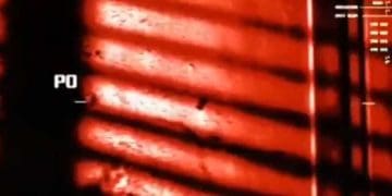 Gym Buddy Wanna Skip Legs And Hit Chest Again Me