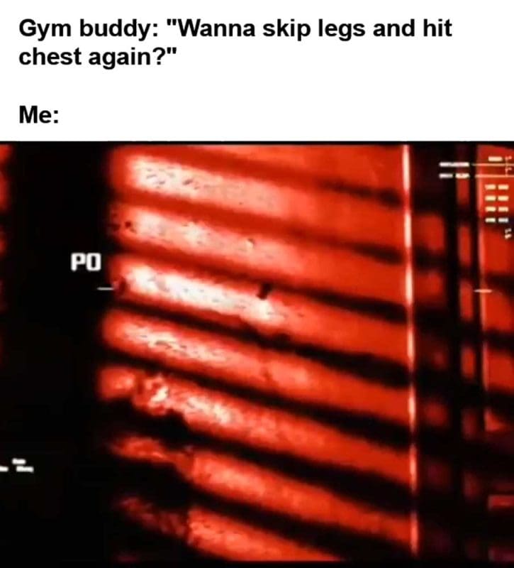 Gym Buddy Wanna Skip Legs And Hit Chest Again Me