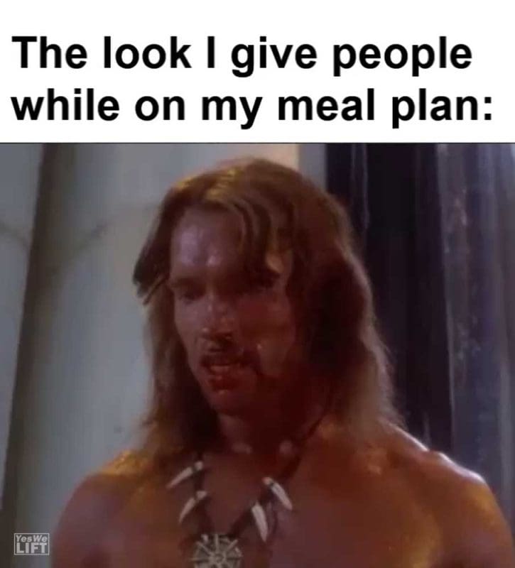 The Look I Give People While On My Meal Plan