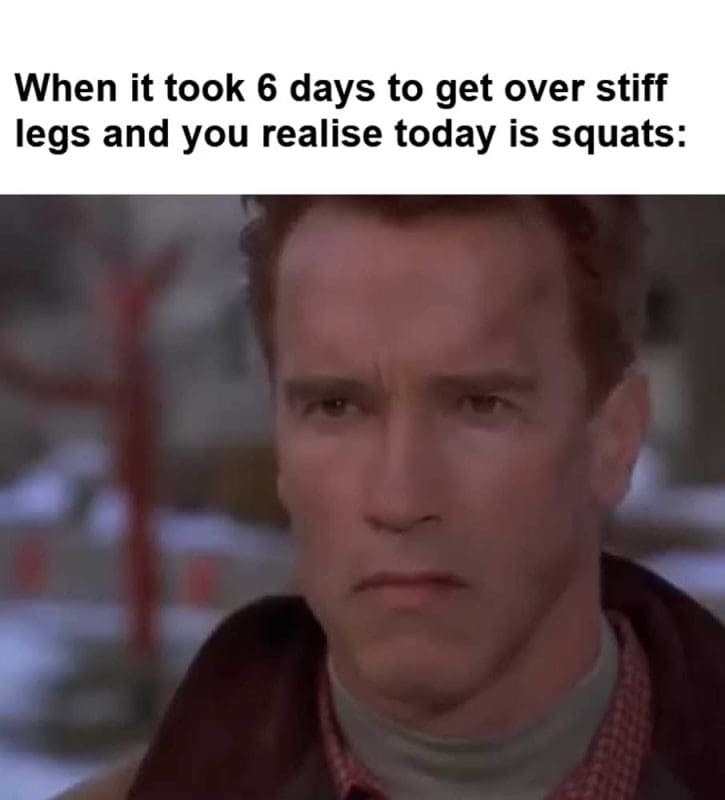 When It Took Days To Get Over Stiff Legs And You Realise Today Is Squats