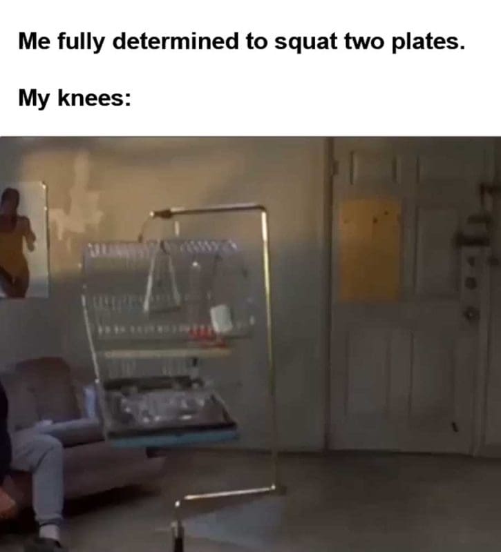 Me Fully Determined To Squat Two Plates My Knees
