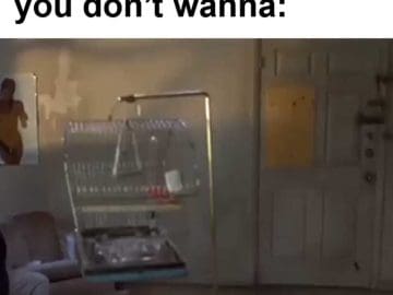 When It's Leg Day But You Dont Wanna