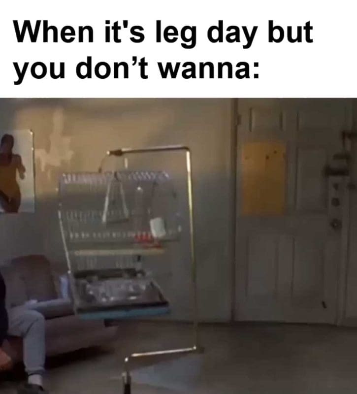When It's Leg Day But You Dont Wanna