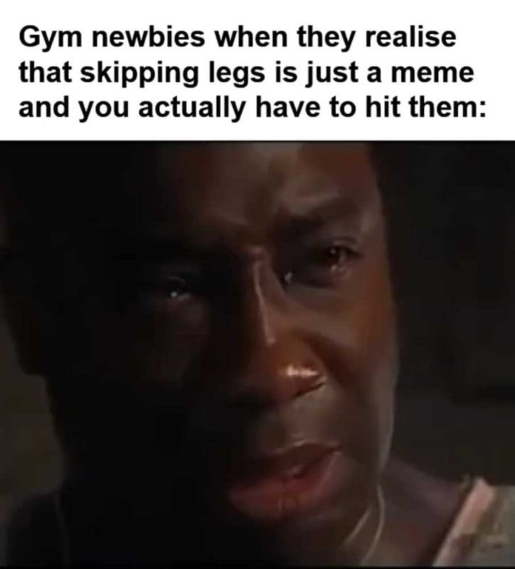 Gym Newbies When They Realise That Skipping Legs Is Just A Meme And You Actually Have To Hit Them