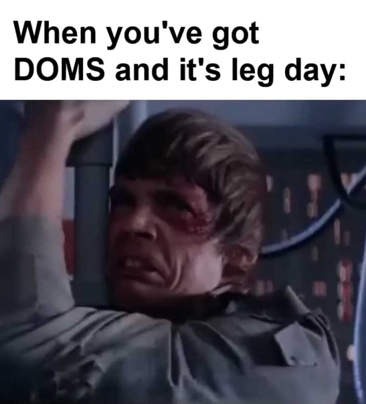 When You've Got Doms And It's Leg Day